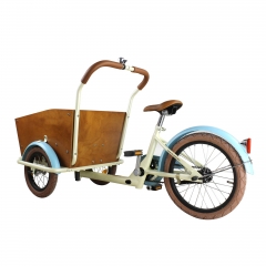 Mini Human cargo bicycle small volume