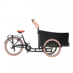 Four seats Manpower cargo bicycle family