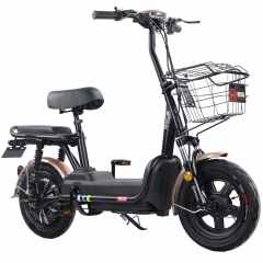 Electric bicycle with pedal 14 inch vacuum tires