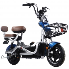 2021 fashion electric bicycle 14