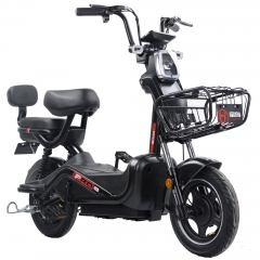 2021 fashion electric bicycle 14