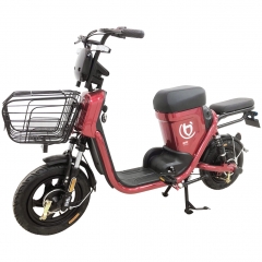 Doul cycling mode electric bike