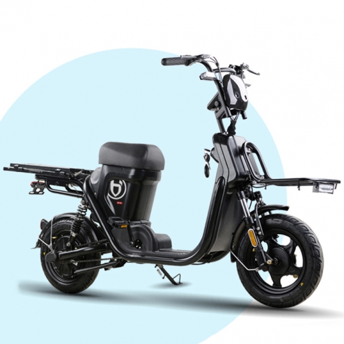 Doul cycling mode electric bike