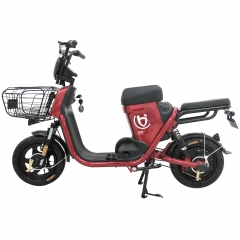 Doul cycling mode electric bike