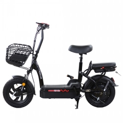 Small size electric bike with two seats