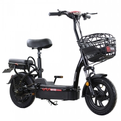 Small size electric bike with two seats