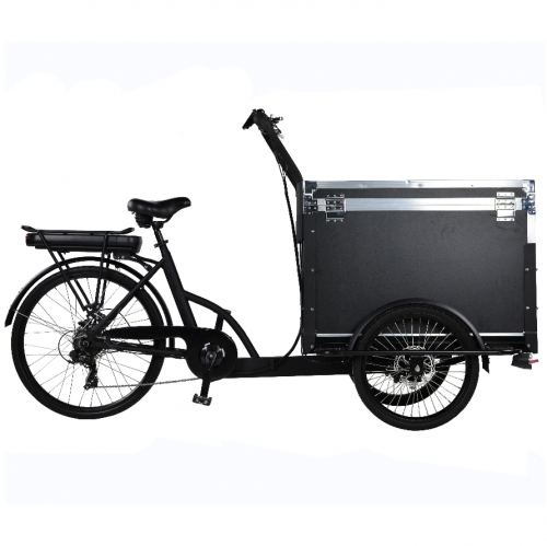 Padel assist Electric cargo bike three wheel