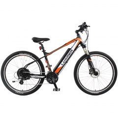 Hidden battery e mtb bike