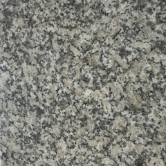 TM-F003 G602 Grainte Stone Floor