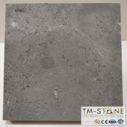 TM-F013 Nature Grey Granite Flooring