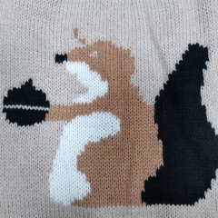 Squirrel Pet sweater