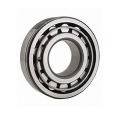 Cylindrical Roller Bearing NUP22 Series