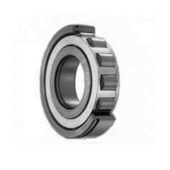 Cylindrical Roller Bearing NUP2 Series