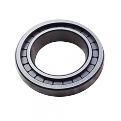 Cylindrical Roller Bearing NUP23 Series