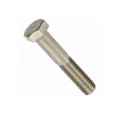 Hex Bolt/High Strength Bolts