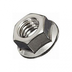 Hex Flange Nut