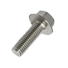 Hex Flange Bolt