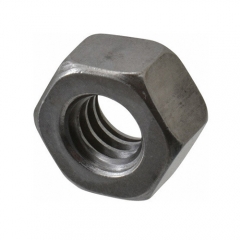 Hex Nut