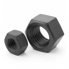 Hex Nut