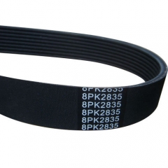 Ribbed Belt