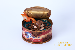 Can Of Curiosities Little Mermaid By WeArtDoing