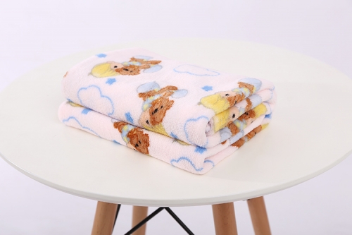 CARTOON BLANKETS