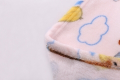 CARTOON BLANKETS