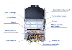 Gas Water Heater JSD-F12