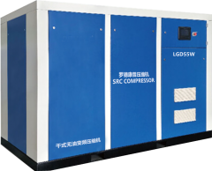 Dry type oil-free screw air compressor