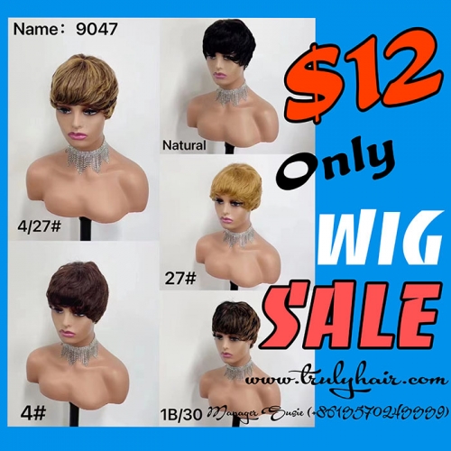 Promotion wig human hair wig