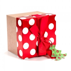 Holiday gift box_A0001