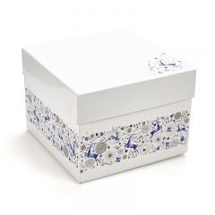 Holiday gift box-G0049