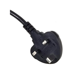 BS plug with fuse