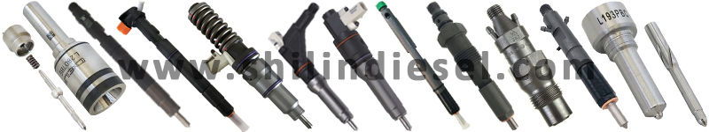 DELPHI diesel fuel injector and nozzle