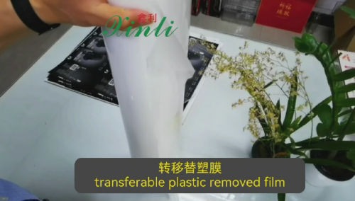 Replacement Plastic Thermal Film