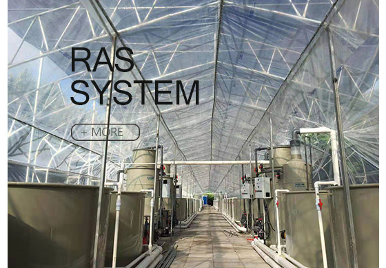 RAS system