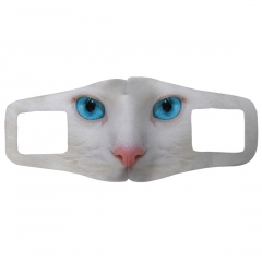 一片布口罩蓝眼白猫