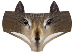 耳朵内裤野生动物鹿眼睛