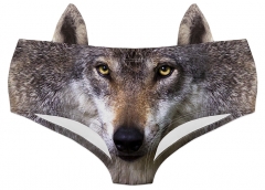 耳朵内裤野生动物灰狼眼睛