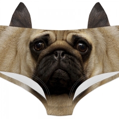 Ear panties dog