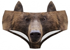 耳朵内裤野生动物熊眼睛