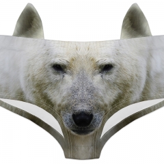 耳朵内裤野生动物北极熊polar bear
