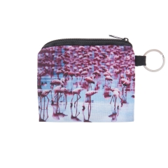 方形零钱包水中的火烈鸟water flamingos