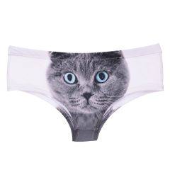 女式内裤白底蓝猫british cat