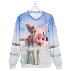 Sweatshirt water pig