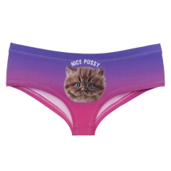 Women panties nice pussy bad kitty