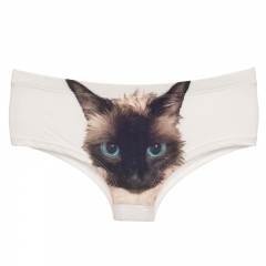 panties wet cat