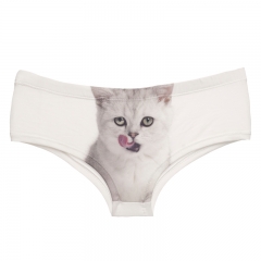 女式内裤白底吐舌头的白猫licking kitten