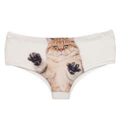 女式内裤白底受惊吓的猫funny cat