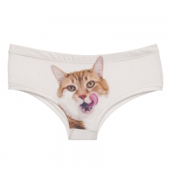 panties licking cat